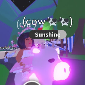 Meet your Posher, Lunaplays